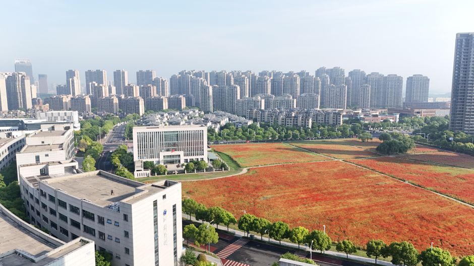 成都高新区精装房不满意，局部改造换地板换墙面要花多少？
